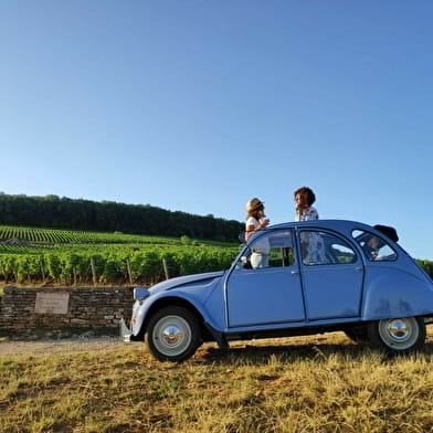 My French Tour